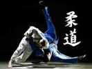 /arquivos/pessoas/111533121225judo_133_100.jpg
