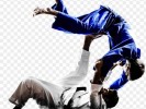 /arquivos/pessoas/153305120524judo-11563154202bgctifuuxb_133_100.jpg