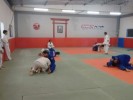 /arquivos/pessoas/175821171019foto_treino_23_02_133_100.jpg
